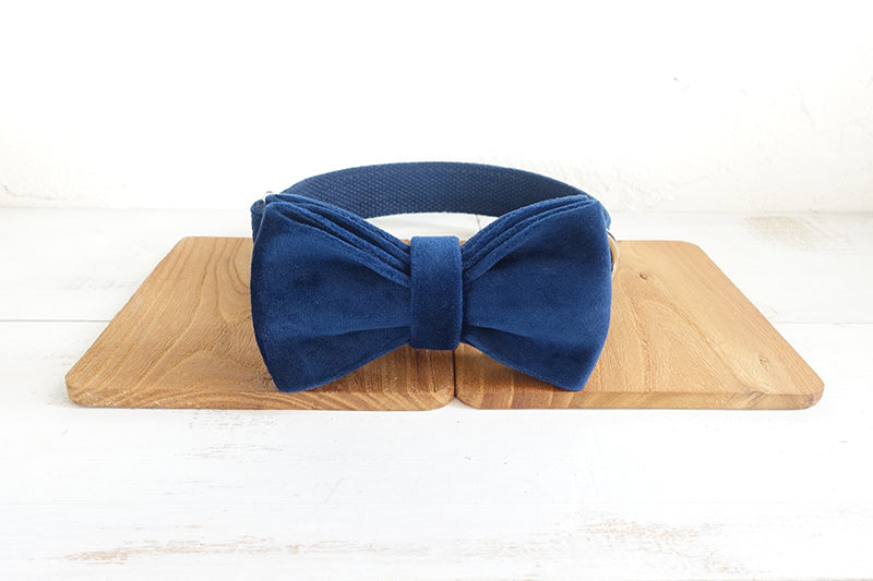 KFX-6893885 Navy Blue Velvet Bowknot Pet Collar with Leash for Small to Large Dogs