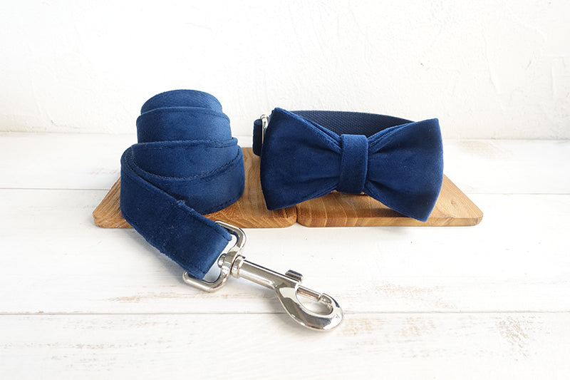 KFX-6893885 Navy Blue Velvet Bowknot Pet Collar with Leash for Small to Large Dogs