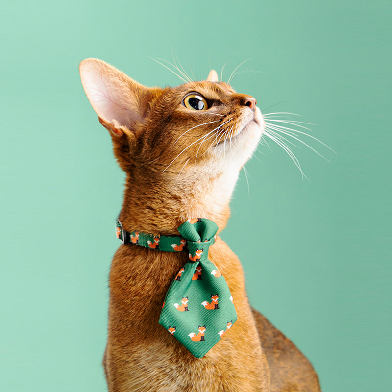 KFX-6899773 Adjustable Pet Neckties and Bowties for Cats, Polyester Accessories, Various Styles and Patterns