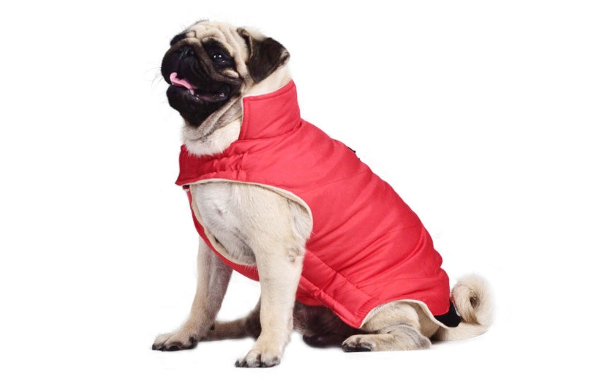 KFX-6901949 Cotton Vest for Dogs in Blue, Red, and Gray - Available in Sizes S to XXL