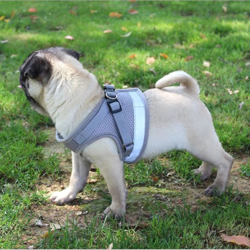 KFX-6903229 Reflective and Breathable Pet Harness for Dogs and Cats - Adjustable Sizes Available