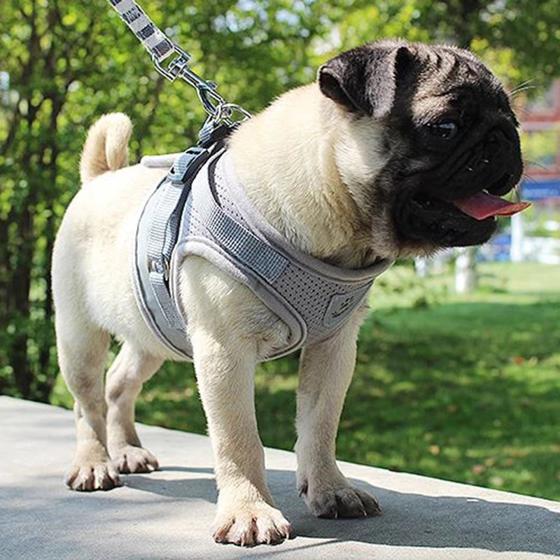 KFX-6903229 Reflective and Breathable Pet Harness for Dogs and Cats - Adjustable Sizes Available