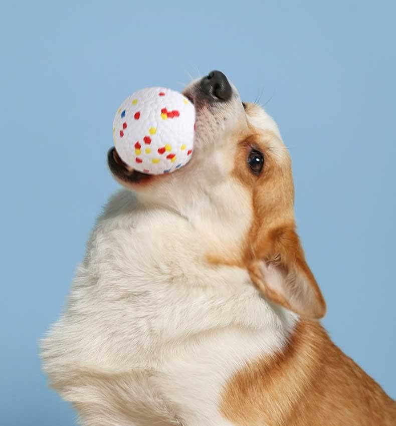 KFX-6905021 Soft Floating Dog Toy Ball and Ring – Interactive Chew Toy for Medium and Large Dogs, Durable and Easy to Clean