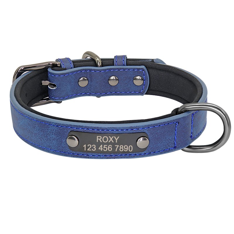 KFX-6905533 Engraved Neck Ring for Cats and Dogs - Personalized Identification Collar