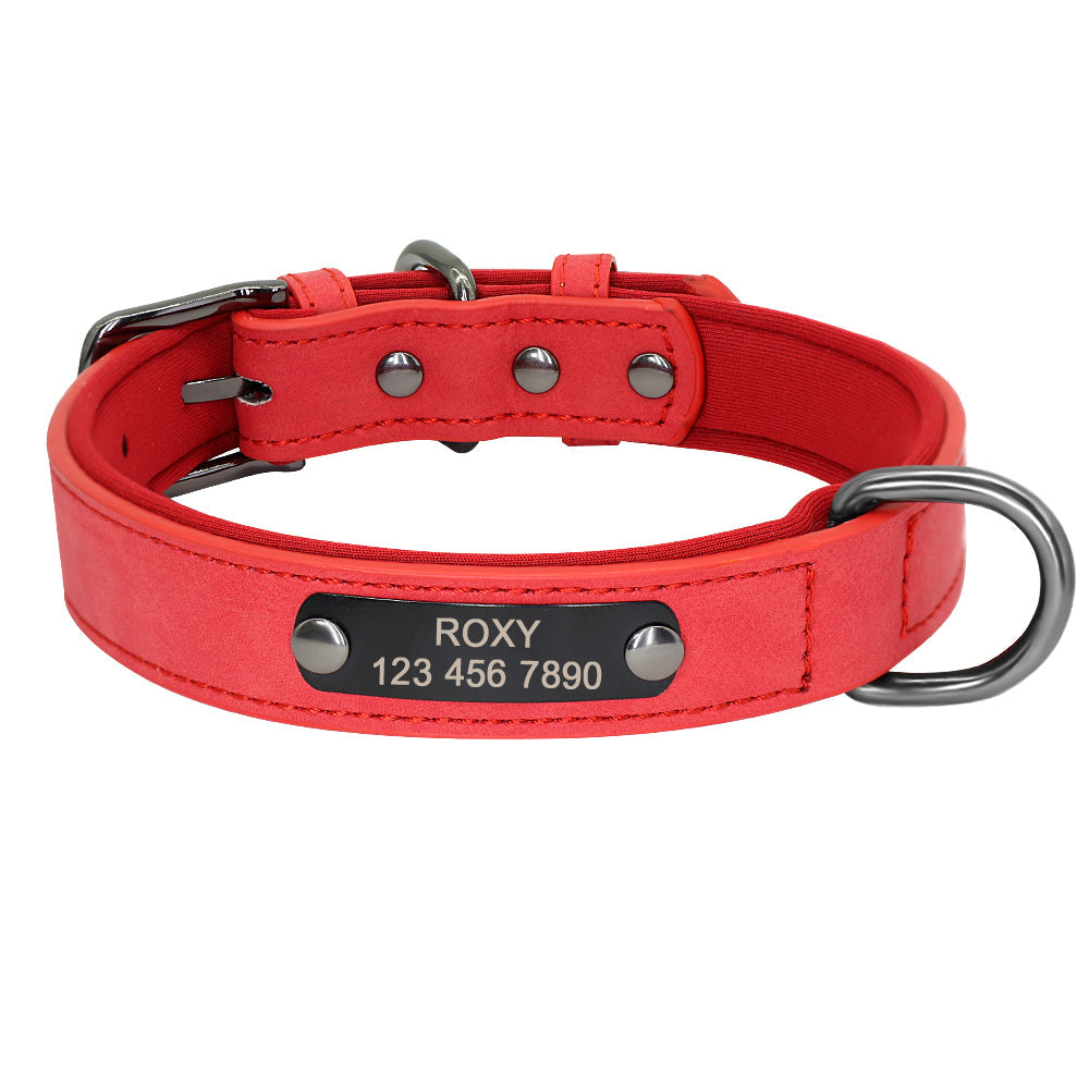 KFX-6905533 Engraved Neck Ring for Cats and Dogs - Personalized Identification Collar