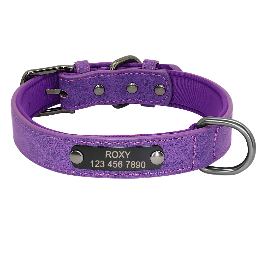 KFX-6905533 Engraved Neck Ring for Cats and Dogs - Personalized Identification Collar
