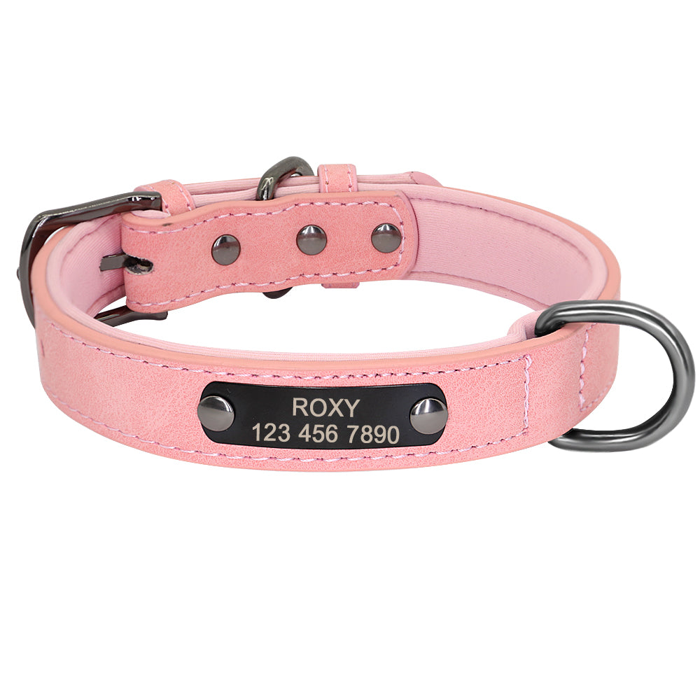 KFX-6905533 Engraved Neck Ring for Cats and Dogs - Personalized Identification Collar