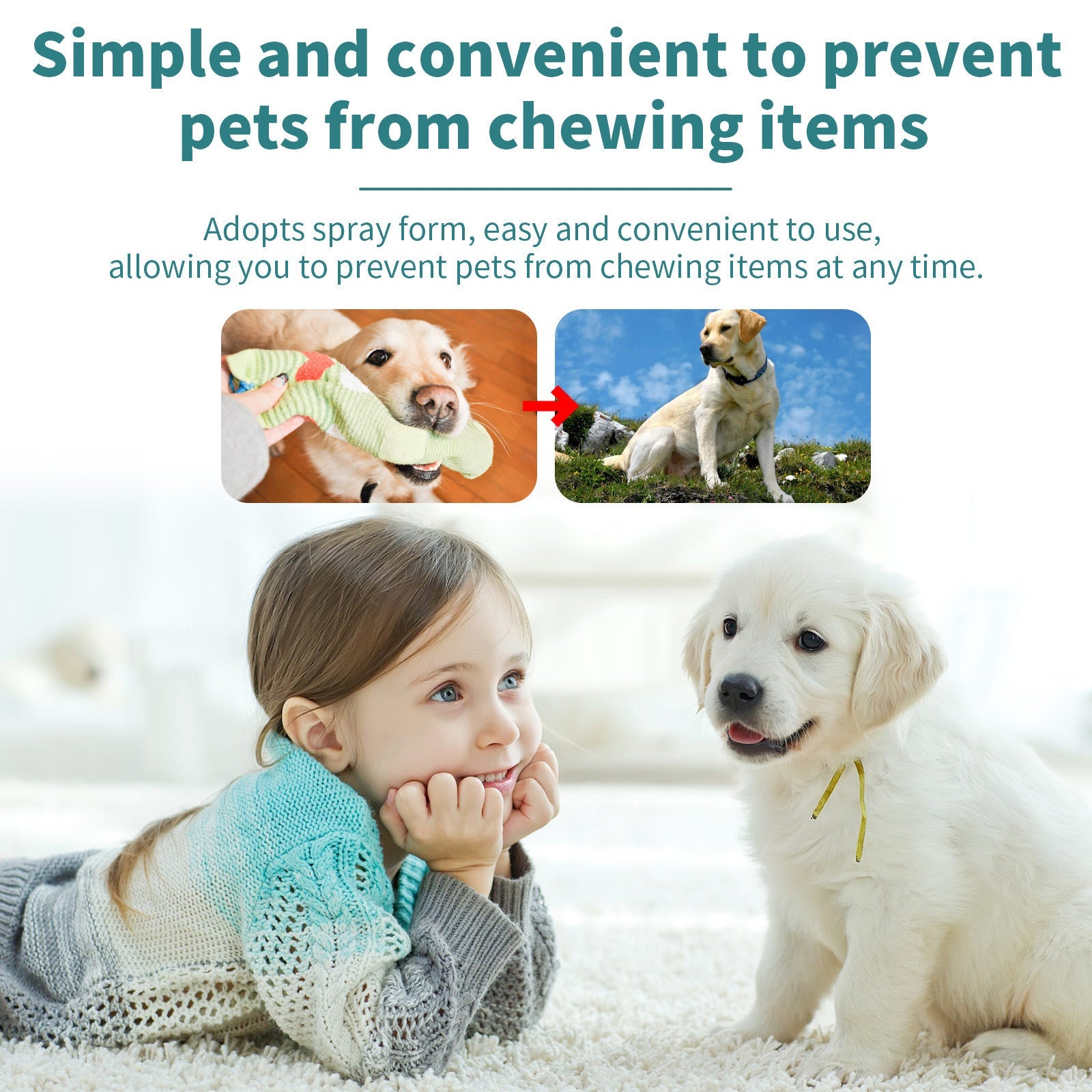 KFX-6908989 Pet Behavior Correction Chewing Spray for Cats and Dogs - 100ml