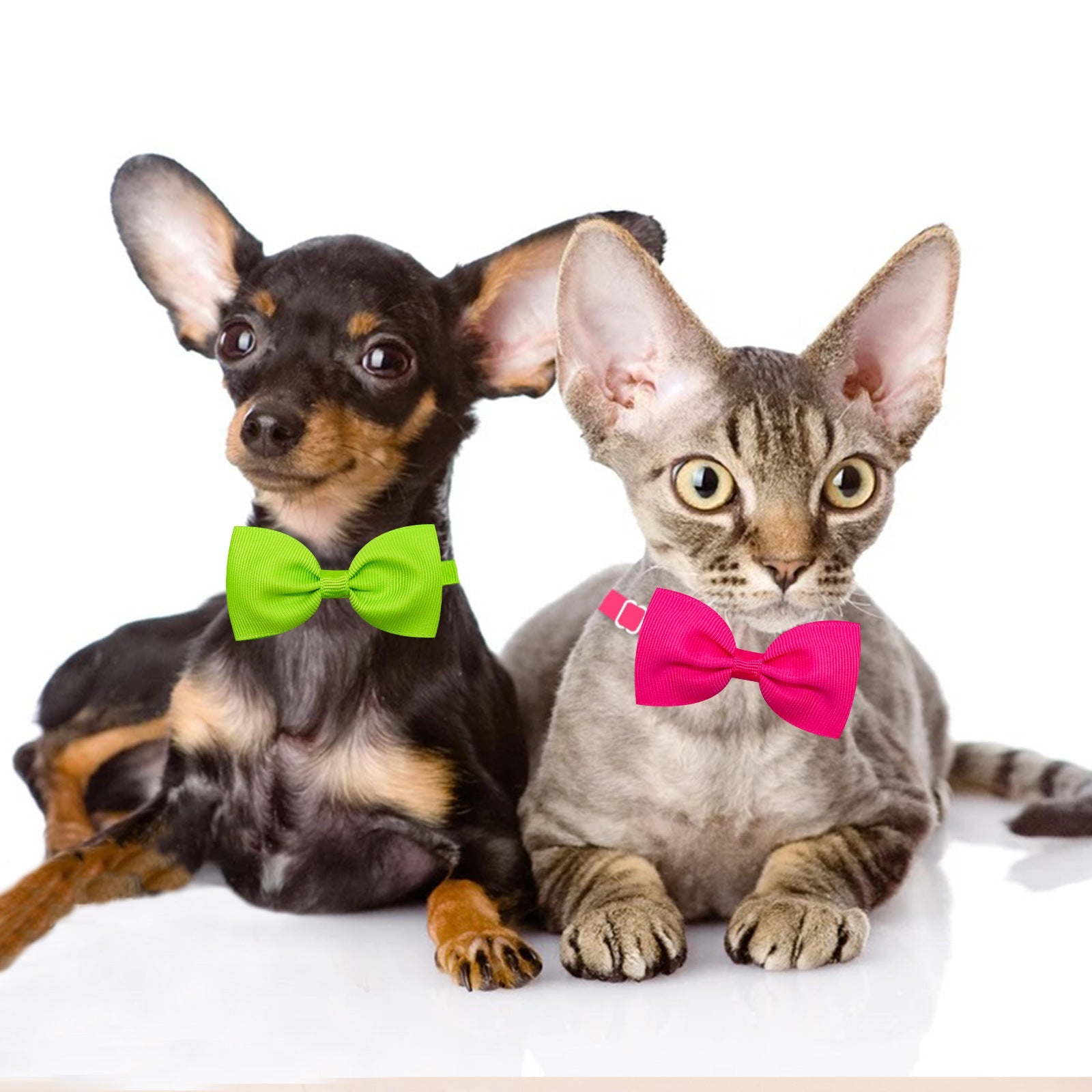 KFX-6911549 Adjustable Tie Bow for Cats and Dogs - Monochrome Colors for Every Season