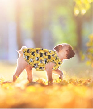 KFX-6915645 Cooling Vest for Small Dogs - Cute Pet Print T-Shirt in Yellow and Pink