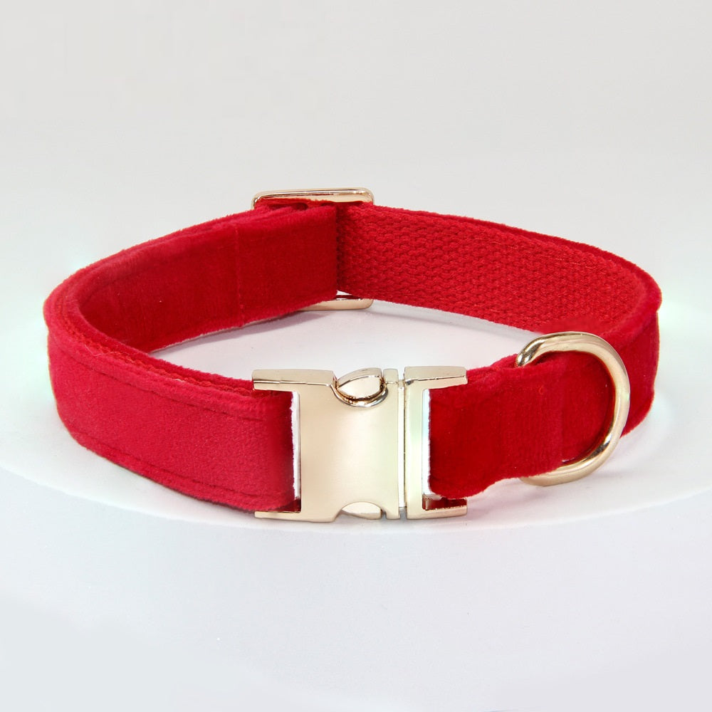 KFX-6926653 Engraved Dog Collar with Anti-Loss Feature and Matching Leash, Polyester Material for All Seasons