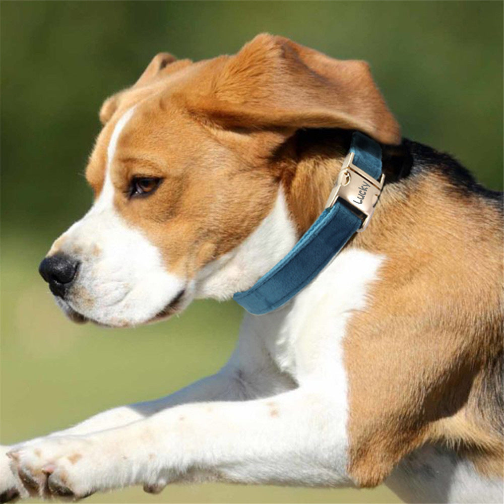 KFX-6926653 Engraved Dog Collar with Anti-Loss Feature and Matching Leash, Polyester Material for All Seasons