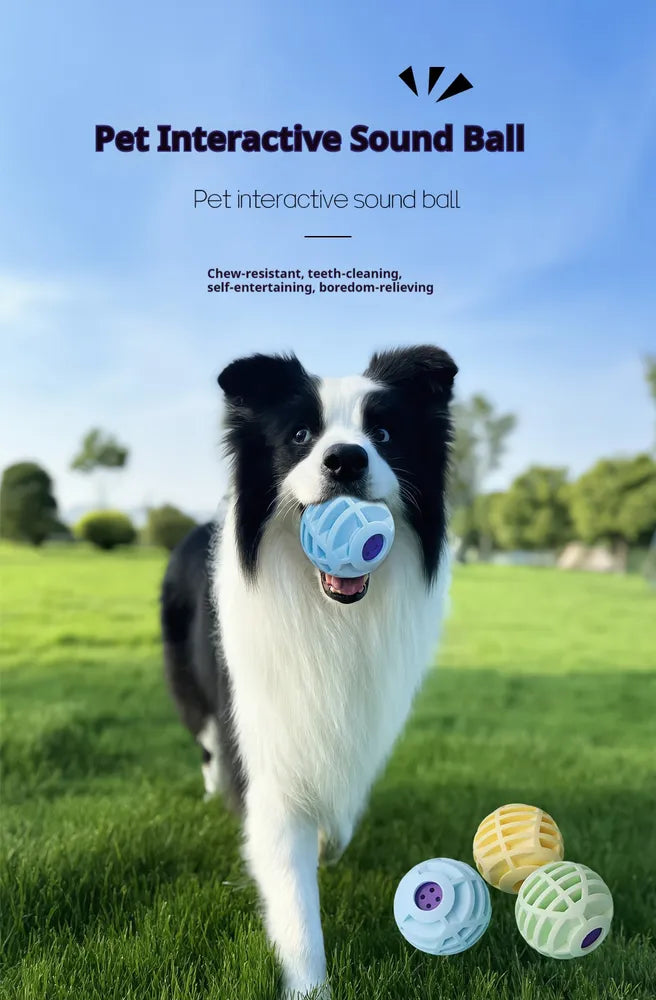 KFX-6930237 Interactive Sound Ball for Dogs and Cats – Pet Voice-Activated Squeaky Toy