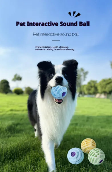 KFX-6930237 Interactive Sound Ball for Dogs and Cats – Pet Voice-Activated Squeaky Toy
