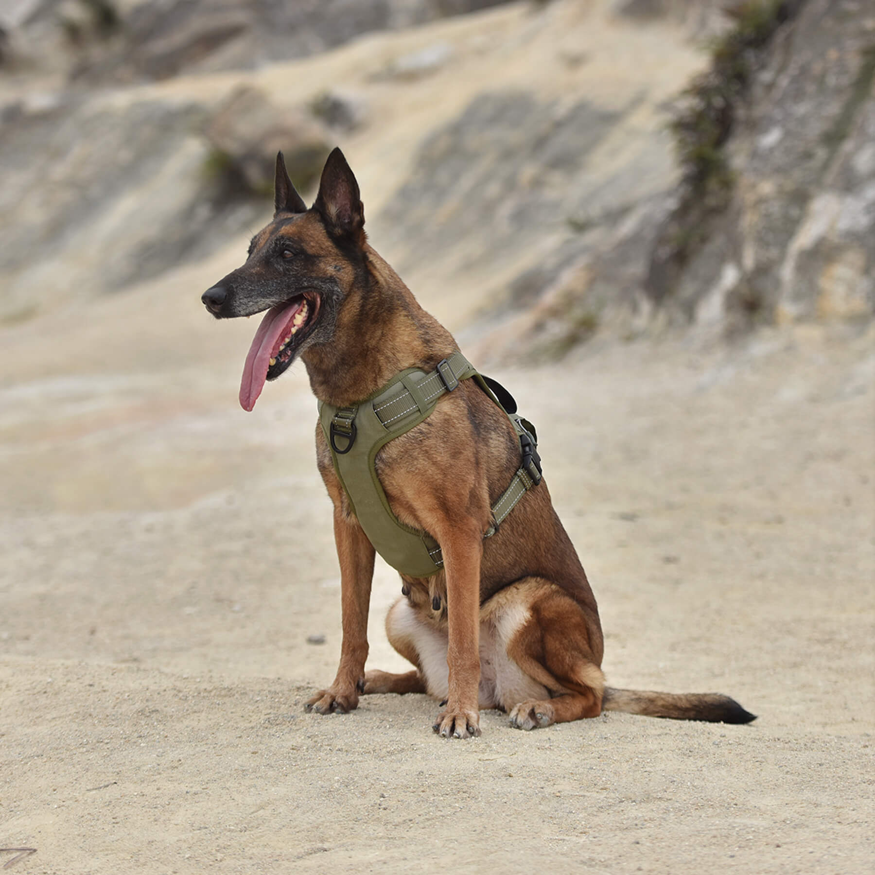 KFX-6932029 Durable Tactical Dog Harness with Poop Bag Dispenser & No Pull Front Clip, Brown, Size S