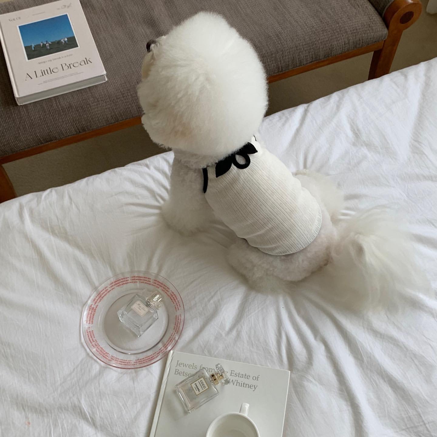 KFX-6947645 Fashionable Camisole Dog Clothes in White and Black - Sizes XS to XL