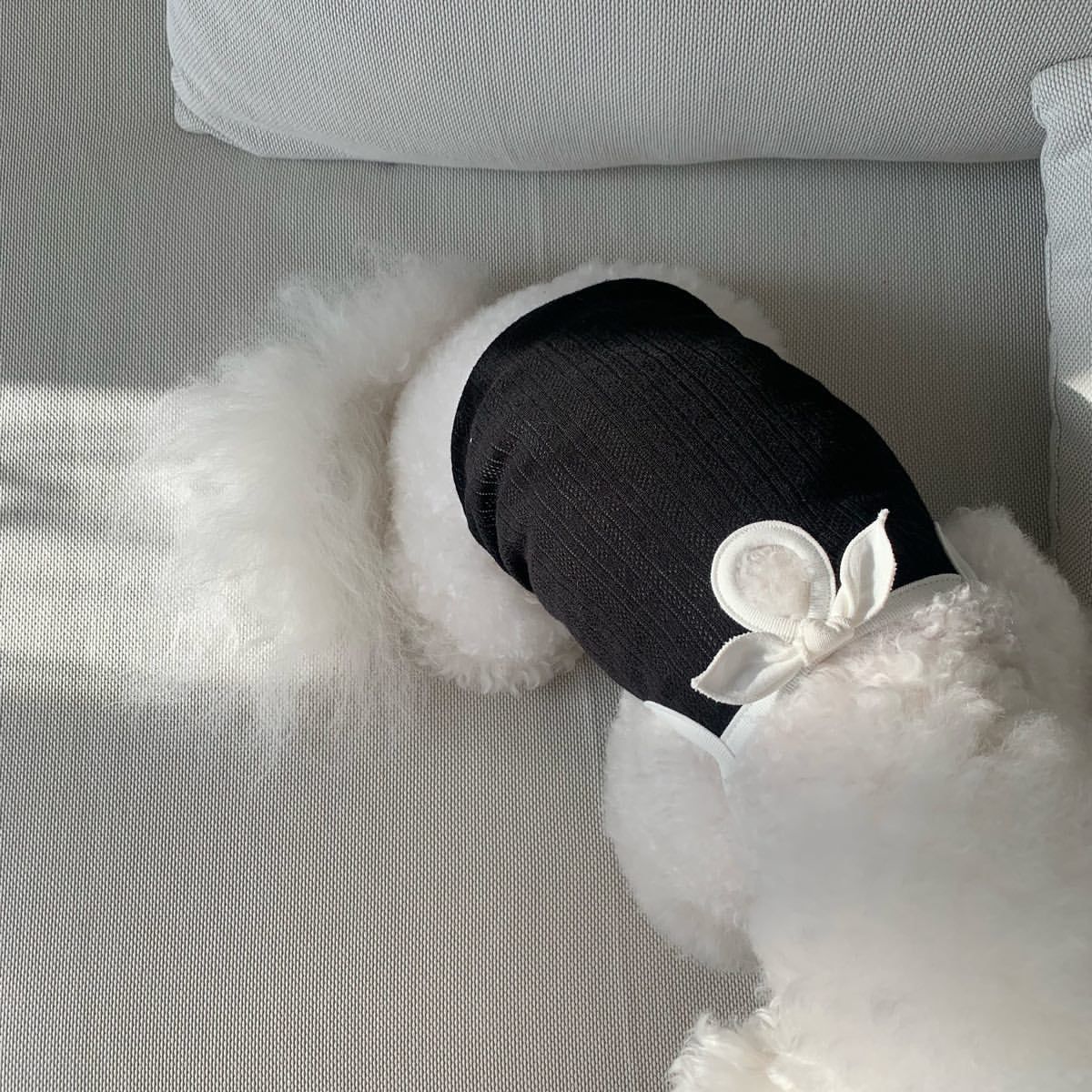 KFX-6947645 Fashionable Camisole Dog Clothes in White and Black - Sizes XS to XL