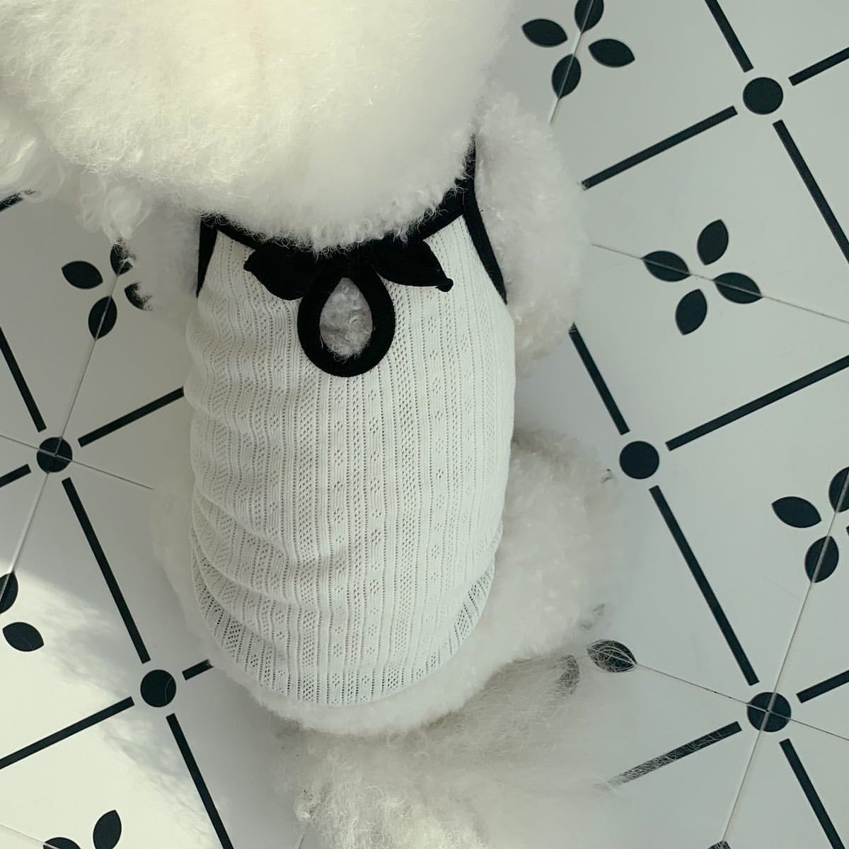 KFX-6947645 Fashionable Camisole Dog Clothes in White and Black - Sizes XS to XL