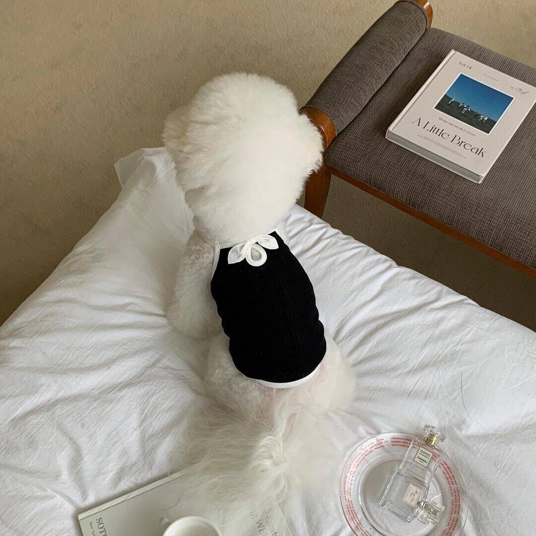 KFX-6947645 Fashionable Camisole Dog Clothes in White and Black - Sizes XS to XL