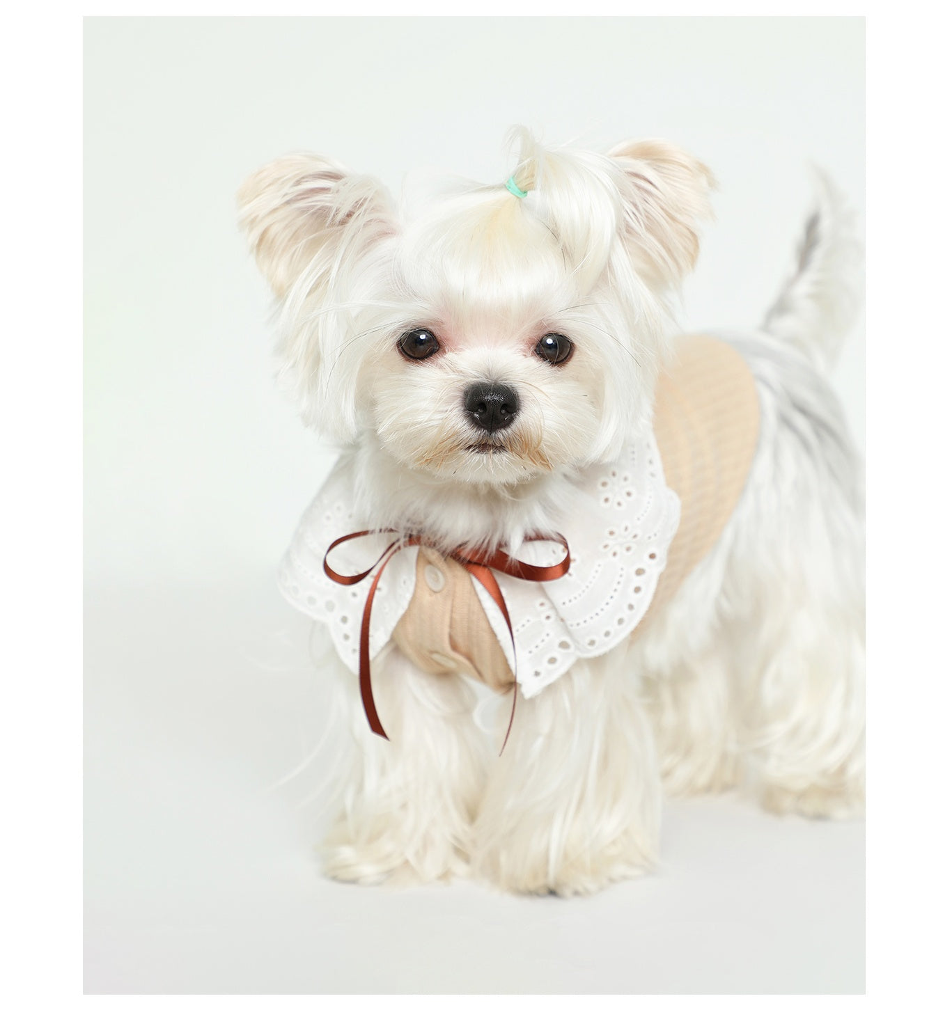 KFX-6948413 Pet Floral Neck Bow Vest for Spring and Autumn - Lightweight and Stretchy Fabric in Mikhaki