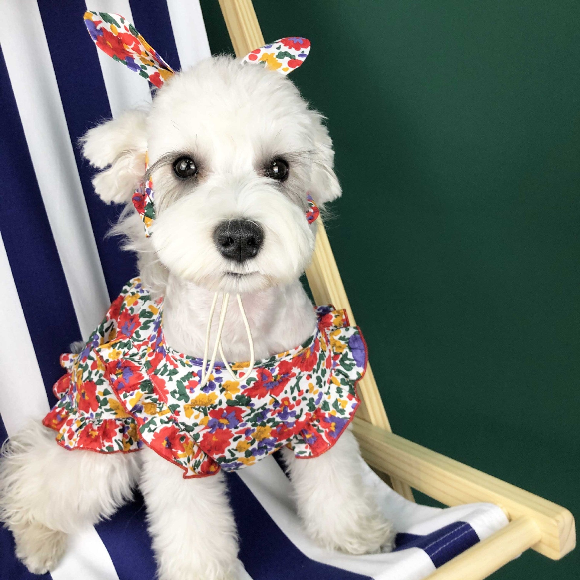 KFX-6949437 Summer Cotton Dress for Small Dogs - Cherry, Yellow, Red, Sizes S-XXL