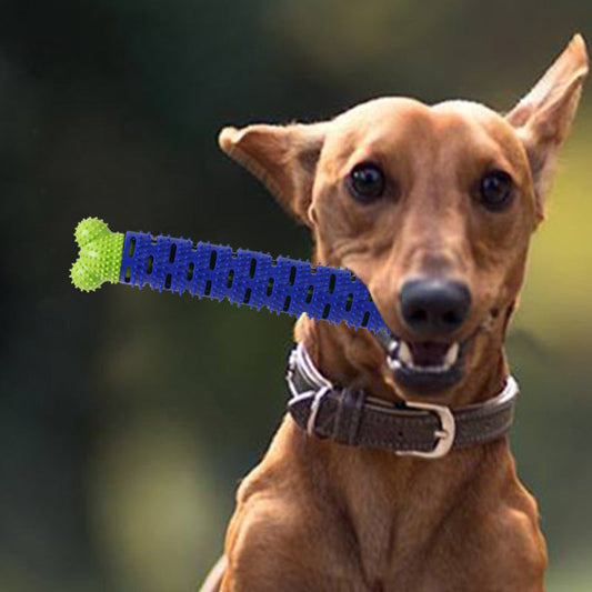 KFX-6952637 Silicone Molar Chew Toy for Dogs - Fashionable and Simple Design