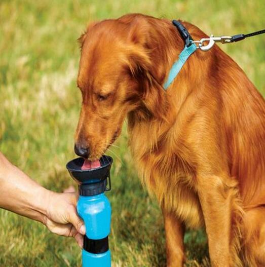 KFX-6953661 Portable Water Bottle for Dogs and Cats - Leak-Proof Outdoor Drinking Solution in Blue, Pink, and Brown