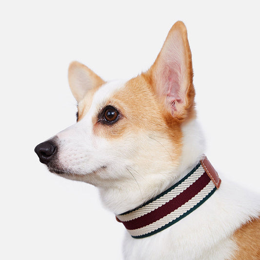 KFX-6968893 Woven Adjustable Pet Collar in Retro Stripes - Cowhide - Sizes S to XL