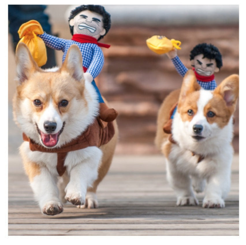 KFX-6979005 Stylish and Comfortable Pet Clothes for Dogs and Cats, Easy to Wear and Clean, Warm Fabric, Various Sizes Available