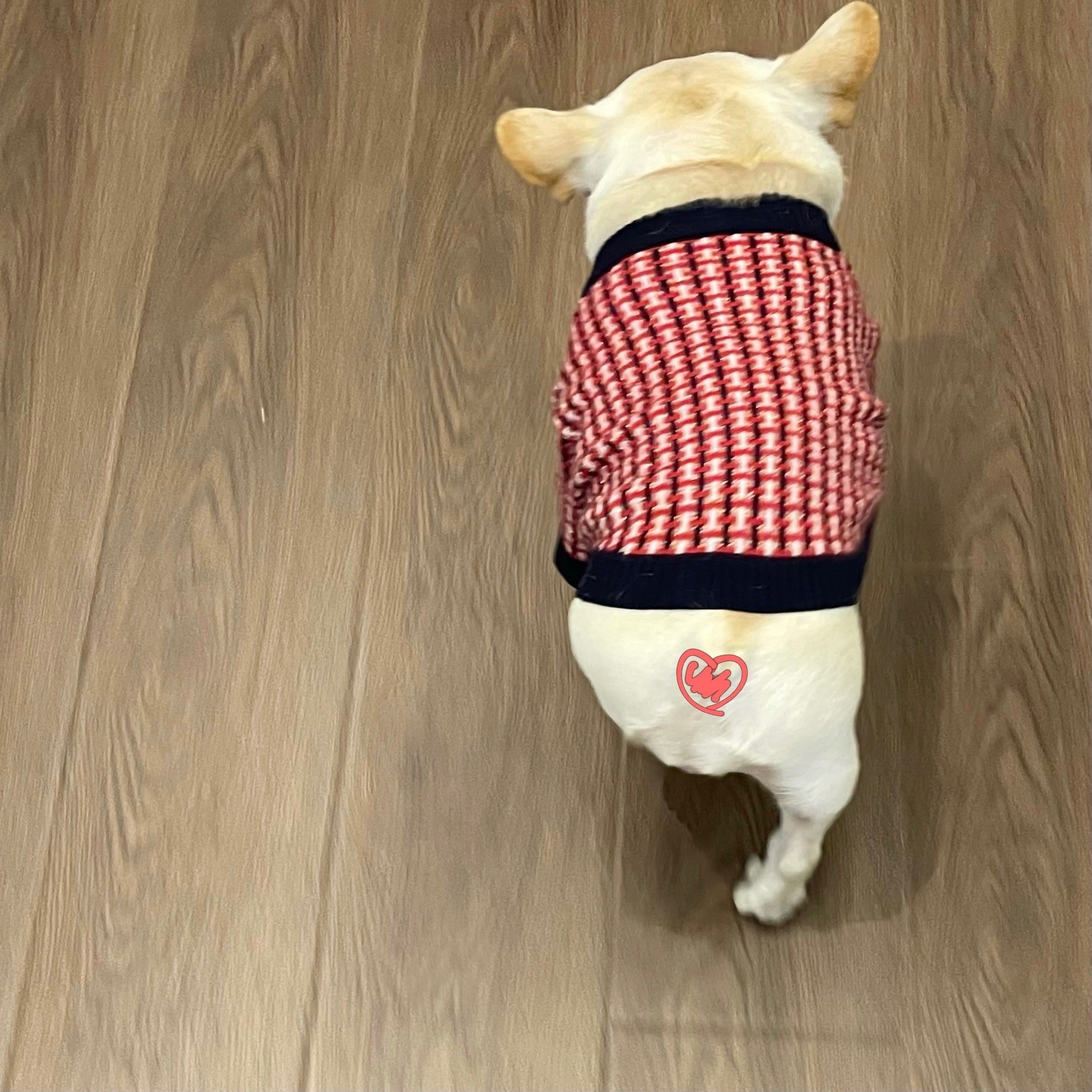 KFX-6994109 Cozy Red Wool Winter Sweater for Pets in Multiple Sizes