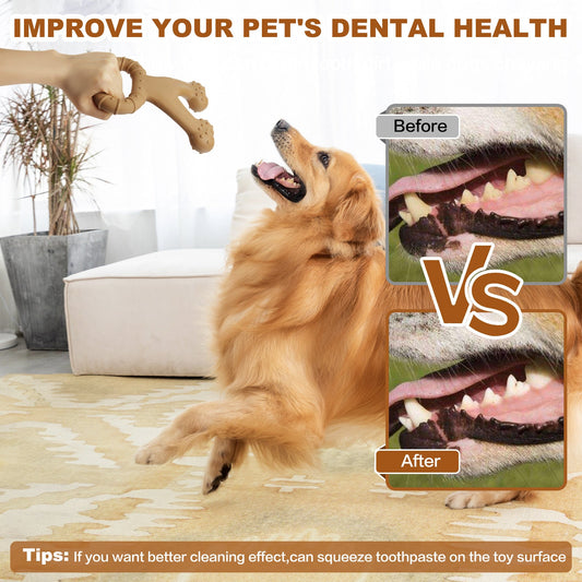KFX-6994749 Durable Nylon Chewing Toy for Dogs - Molar Interactive Design