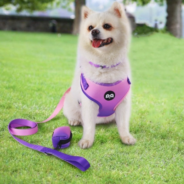 KFX-6995389 Adjustable Pet Harness and Leash Set in Pink Purple Gradient, Sapphire Blue Gradient, Flower Black, and Daisy Pink with Collar and Waste Bag