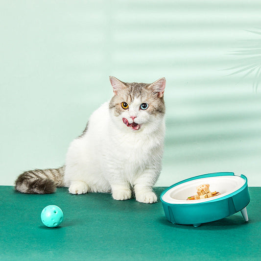 KFX-6996285 Eco-Friendly Disposable Cat and Dog Food Bowl with Non-Slip Base and Replaceable Paper Liners