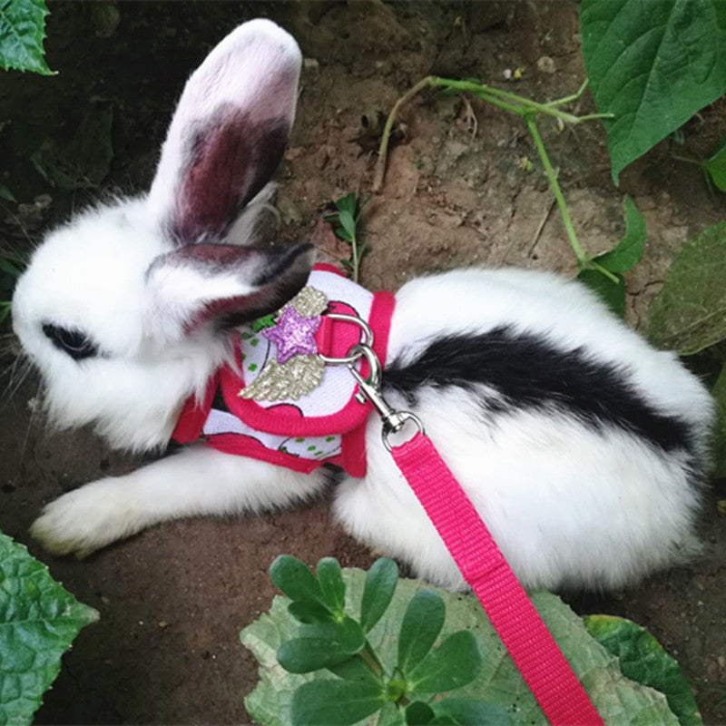 KFX-7001149 Vest-Style Chest Strap for Rabbits and Guinea Pigs - Adjustable Cloth Design