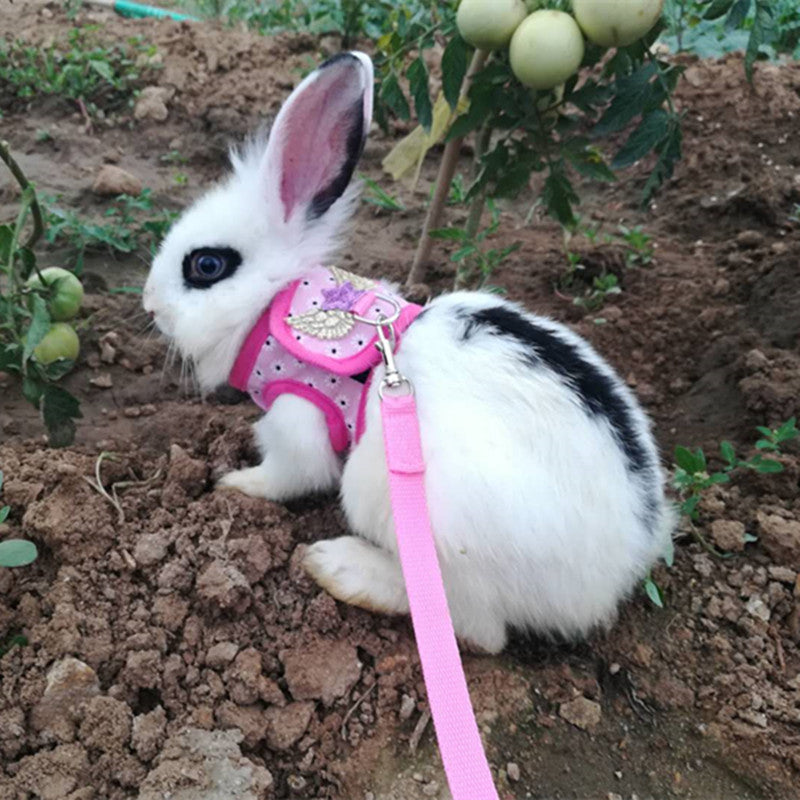 KFX-7001149 Vest-Style Chest Strap for Rabbits and Guinea Pigs - Adjustable Cloth Design