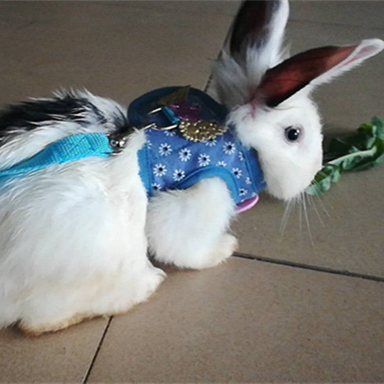KFX-7001149 Vest-Style Chest Strap for Rabbits and Guinea Pigs - Adjustable Cloth Design
