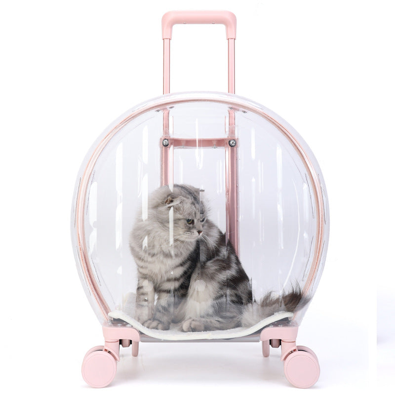 KFX-7004093 Transparent Cat Carrier Bag with Reinforced Structure and Rhombic Grid Design - Large Capacity in Pink and Green