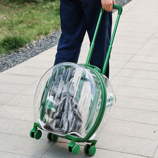 KFX-7004093 Transparent Cat Carrier Bag with Reinforced Structure and Rhombic Grid Design - Large Capacity in Pink and Green