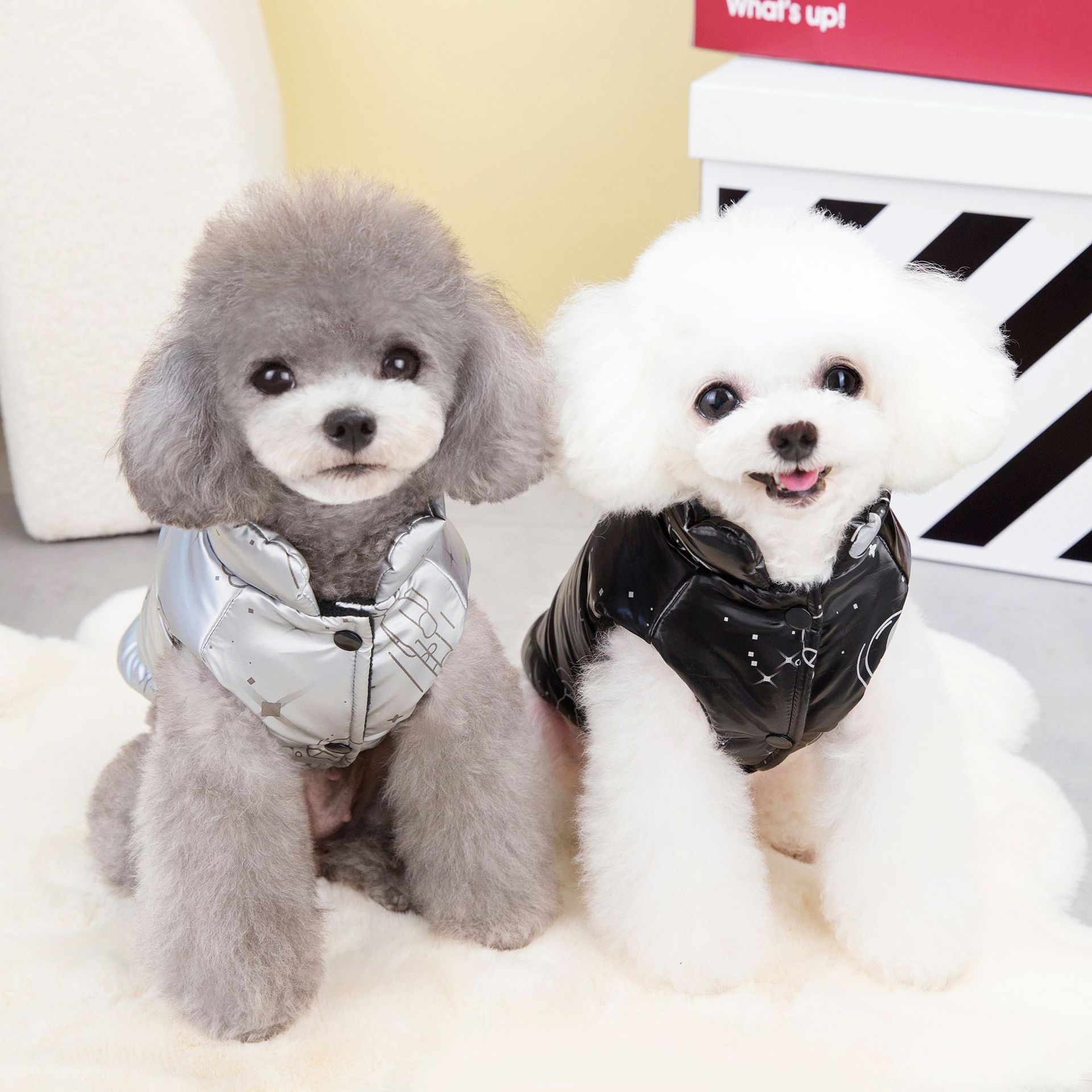 KFX-7006397 Stylish Autumn and Winter Cotton Dog and Cat Vest in Silver and Black, Multiple Sizes Available