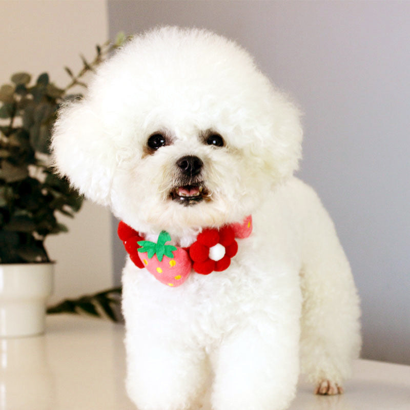 KFX-7010237 Strawberry Floral Cotton Collar for Medium to Large Dogs