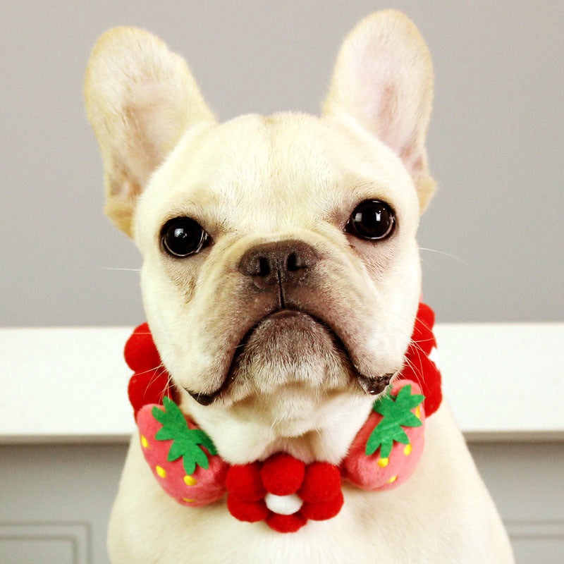 KFX-7010237 Strawberry Floral Cotton Collar for Medium to Large Dogs