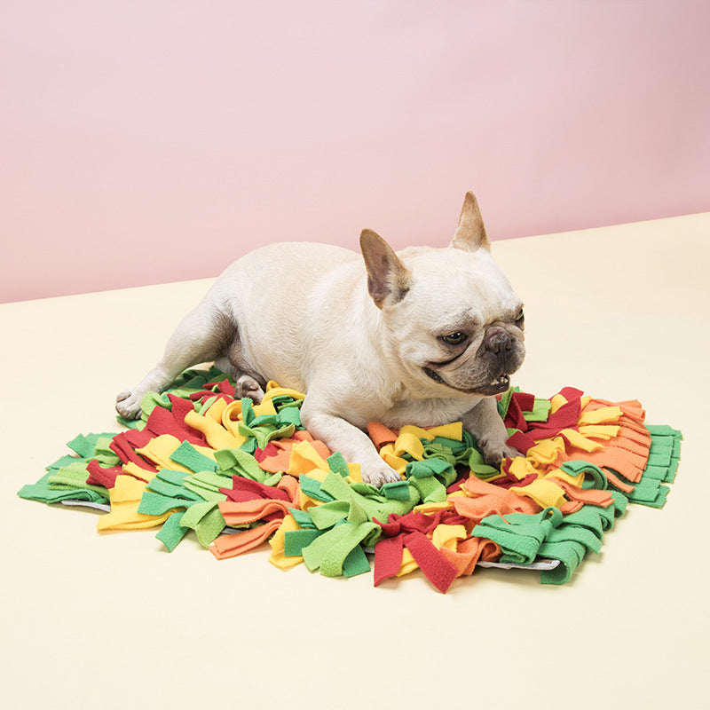 KFX-7012413 Rainbow Pet Sniffing Pad for Foraging Training - Soft Shaker Velvet, 35x25x4cm