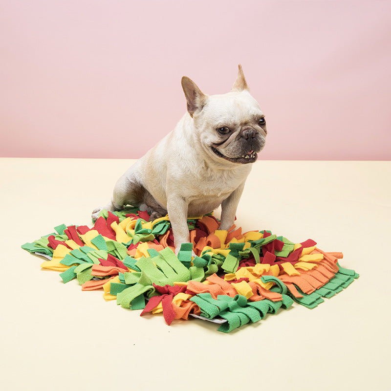 KFX-7012413 Rainbow Pet Sniffing Pad for Foraging Training - Soft Shaker Velvet, 35x25x4cm