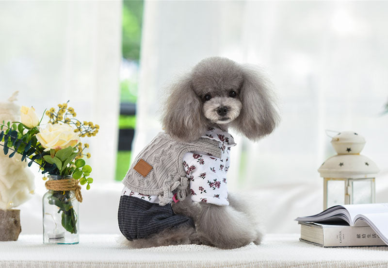 KFX-7013949 Cozy Cotton and Wool Teddy Dog Apparel for Autumn and Winter