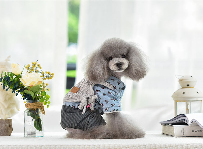 KFX-7013949 Cozy Cotton and Wool Teddy Dog Apparel for Autumn and Winter