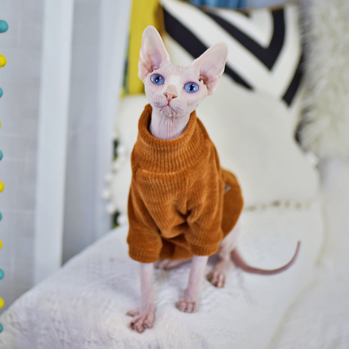 KFX-7015741 Sphinx Cat Clothes in Caramel Brown - Sizes XS to XXL Available