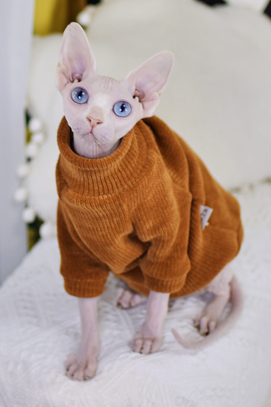 KFX-7015741 Sphinx Cat Clothes in Caramel Brown - Sizes XS to XXL Available