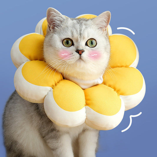KFX-7021117 Waterproof Anti-Bite Anti-Licking Cat Soft Collar in Stylish Sunflower and Heart Designs