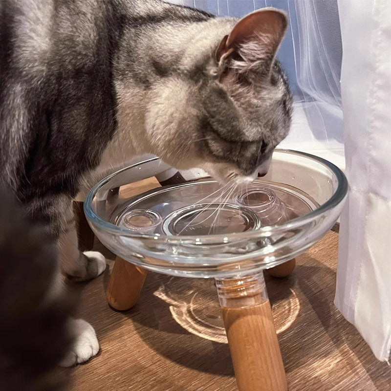 KFX-7025085 Sturdy Pet Bowl with Removable Glass Dish for Cervical Support