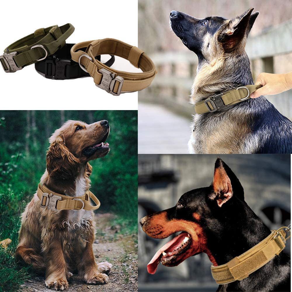 KFX-7030845 Adjustable Polyester Training Collar with Leash for Medium and Large Dogs - All Seasons, Black and Khaki Options